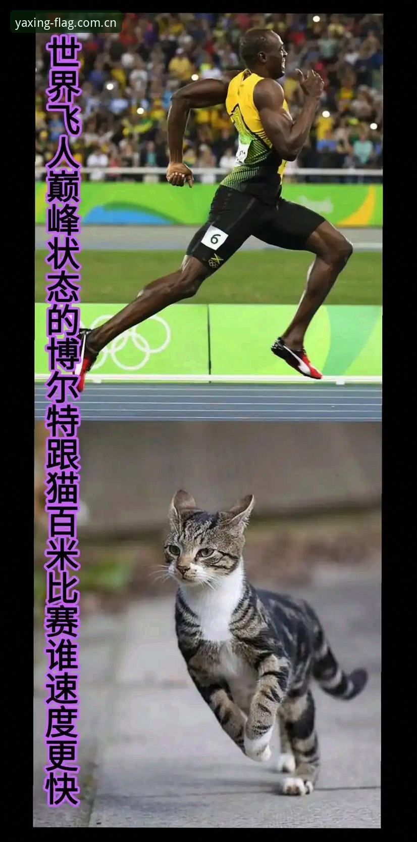 37.1km/h是什么概念？比博尔特巅峰冲刺慢2.8km/h，但这是在踢球，不是跑直道。日本J1联赛速度榜第一名的数据，直接告诉你：足球不止拼脚下技术，谁先到那零点几秒，谁就赢。