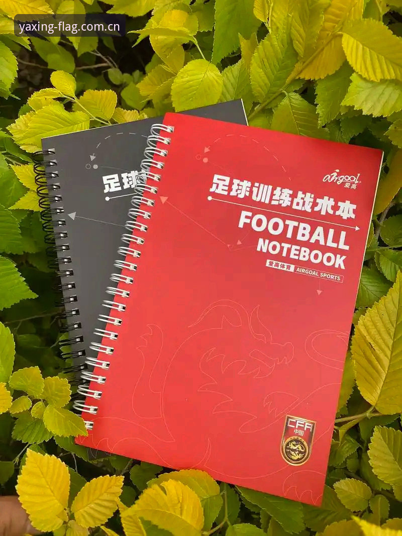 从皮奥的破茧之路，看意大利青训的实用操作指南